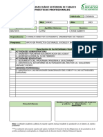 Ppractica 4 y 6 Meses - Formato Reporte Mensual