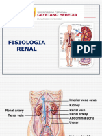 Fisiología Renal