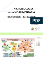 PROTOZOUS I METAZOUS