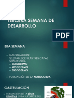 2.2 - Tercera Semana de Desarrollo