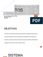 Tractos Neurología