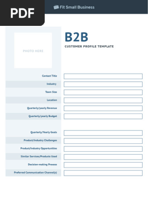 B2B Customer Profile Template PDF