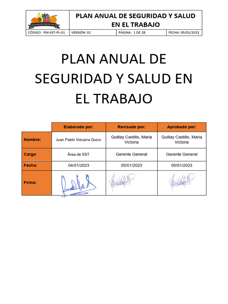 PM-SST-PL-01 PLAN ANUAL DE SEGURIDAD Y SALUD EN EL TRABAJO | PDF ...