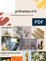 Tp3 Florencia Salvarredi-Diseño Ceramico 1