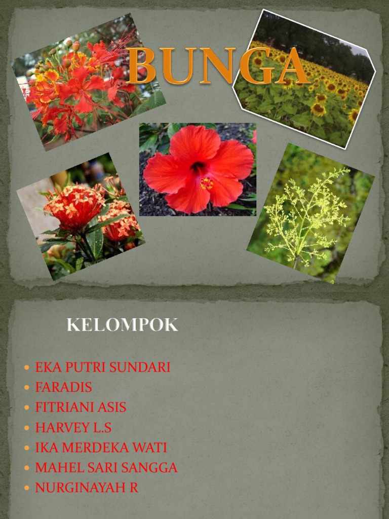 Presentation of Botani | PDF