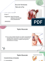 Presentacion Del Tejido Muscular