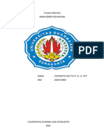 Tugas Manajemen Keuangan Diswanto Apn - Analisis Keuangan & Tata Kelola Perusahaan Adro