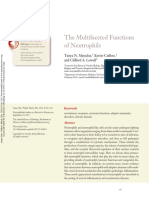 The Multifaceted Functions of Neutrophils