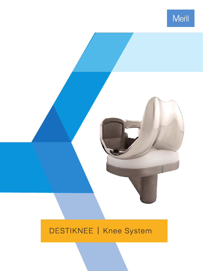 Destiknee Knee System Overview | PDF