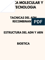 Cuadro Biologia Libro