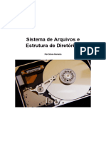 Sistema+de+Arquivos+ +Silvio+Ferreira