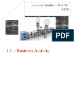 1.1 - Business Activity