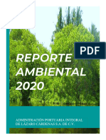Informe Ambiental 2020