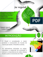 Biotecnologia Vegetal UFPA