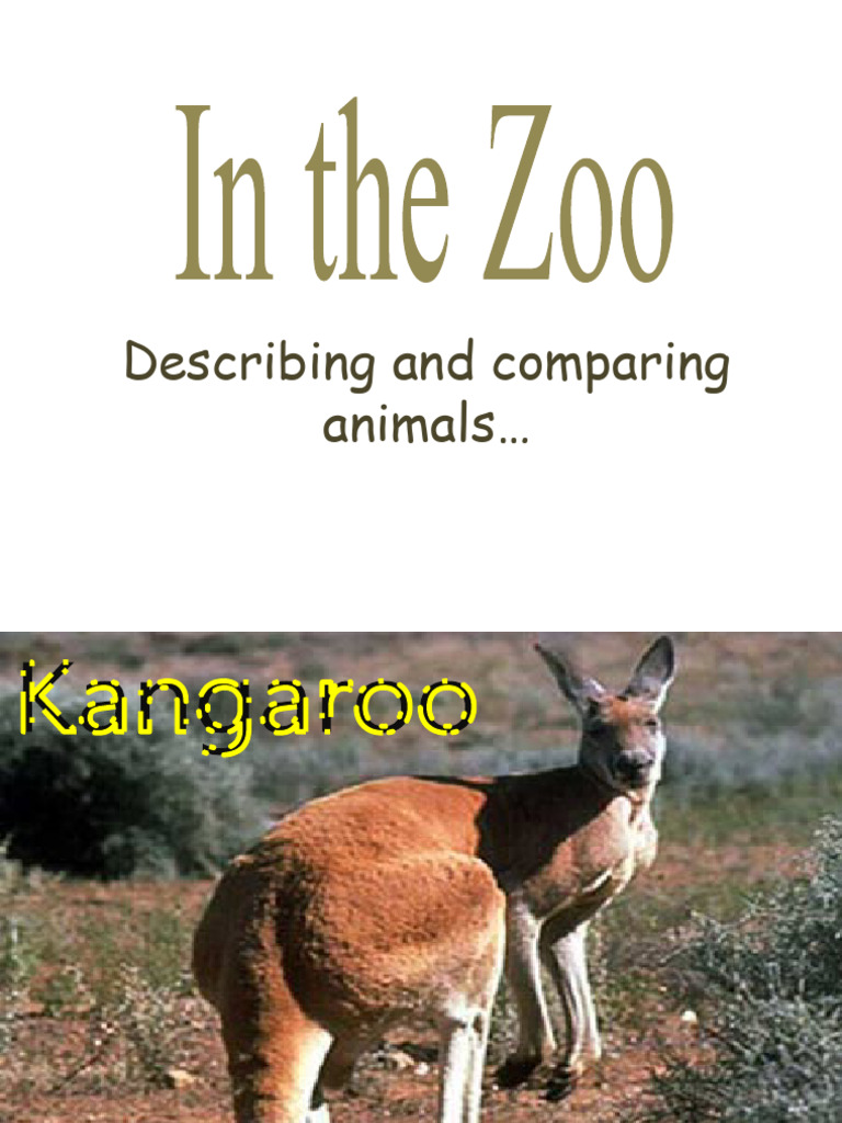 Animal Comparison Exercises Guide | PDF