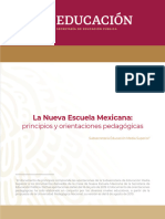 NEM principios y orientación pedagógica (1)