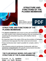 Structure and Functions of The Plasma Membrane