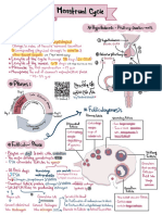 1.menstrual Cycle