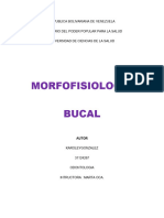 Morfofisiologia Bucal Ucs Odontologia 1 Aã O)