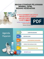 Pengawasan SPMkesehatan