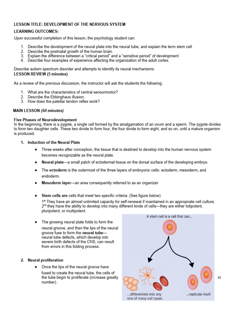 Sas Session 13 Development of The Nervous System | PDF | Axon | Neuron