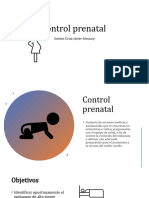 Control Prenatal