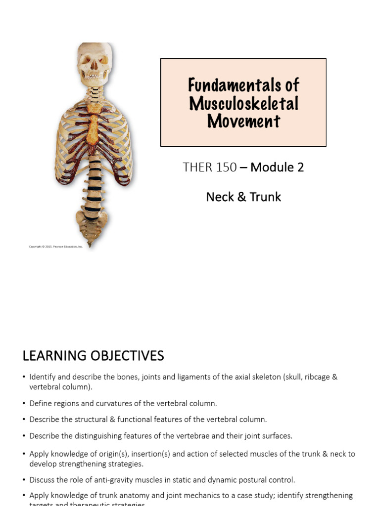 Ther150 Week 2 1 Student | PDF | Vertebra | Vertebral Column