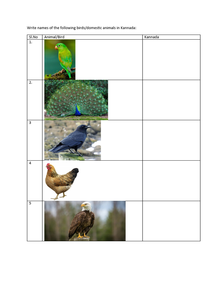 Kannada Identify the birds PDF