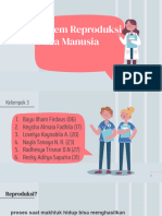 Sistem Reproduksi Pada Manusia