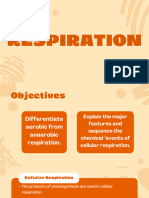 Group 6 Respiration