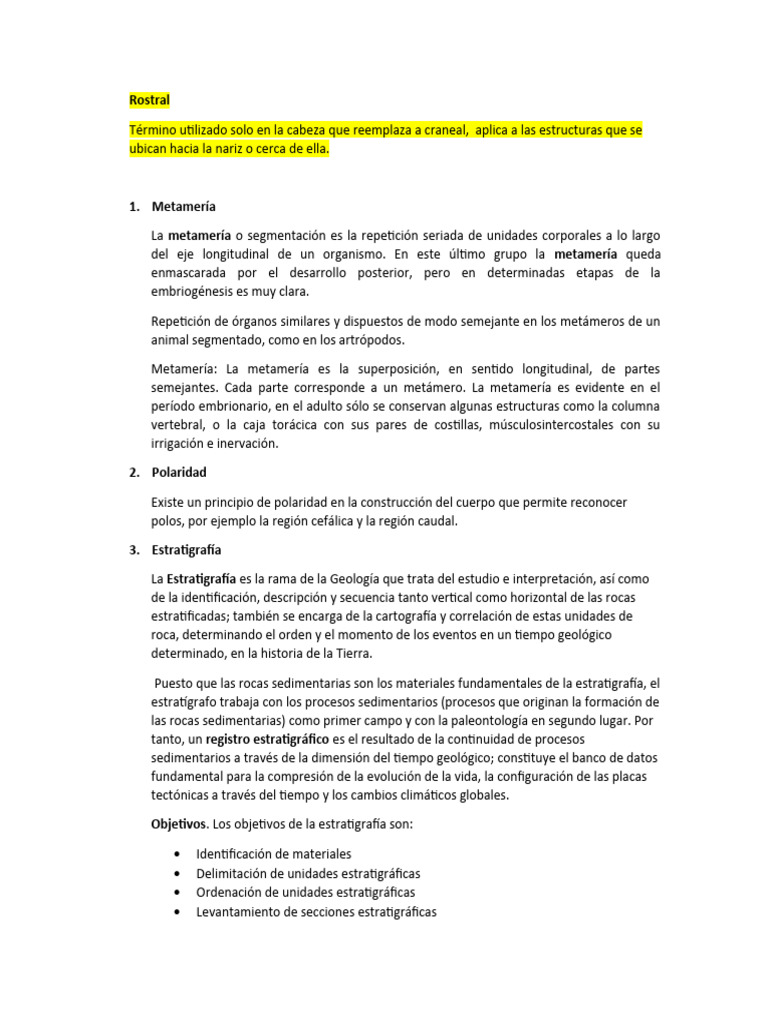 Introducción a la Metamería en Anatomía | PDF | Rayo X | Articulación