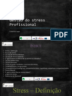 Gestão Do Stress Profissional