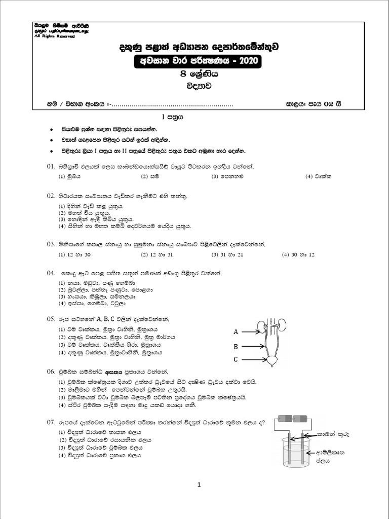 Grade 08 Science 3rd Term Test Paper With Answers 2020 Sinhala Medium ...