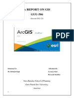 GIS Report-1