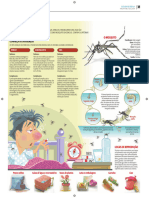 Dengue Estado de Minas 30 de Janeiro.