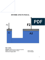 Projecte Efecte Pascal