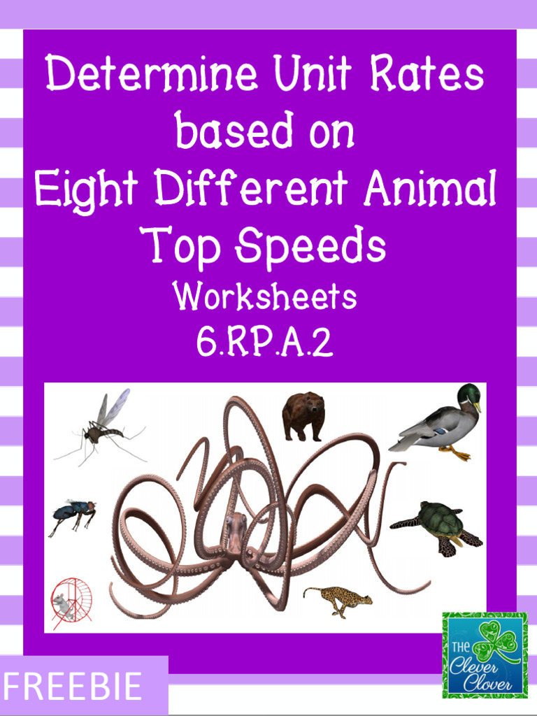 Animal Speed Unit Rate Worksheets | PDF | Speed | Organisms