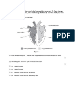 Fatimah's Circulatory System 4