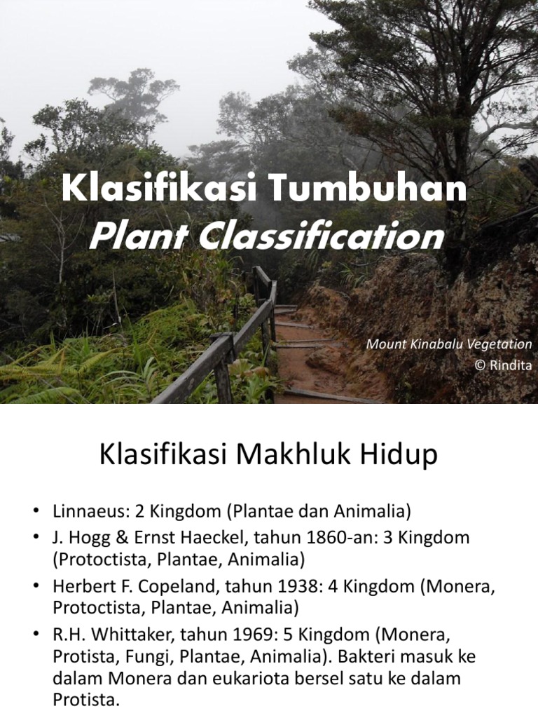 Klasifikasi Tumbuhan Paku
