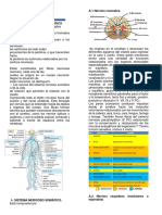 ANATOMÍA