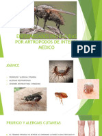 Tema 11. Enfermedades Producidas Por Artropodos de Interes Medico.