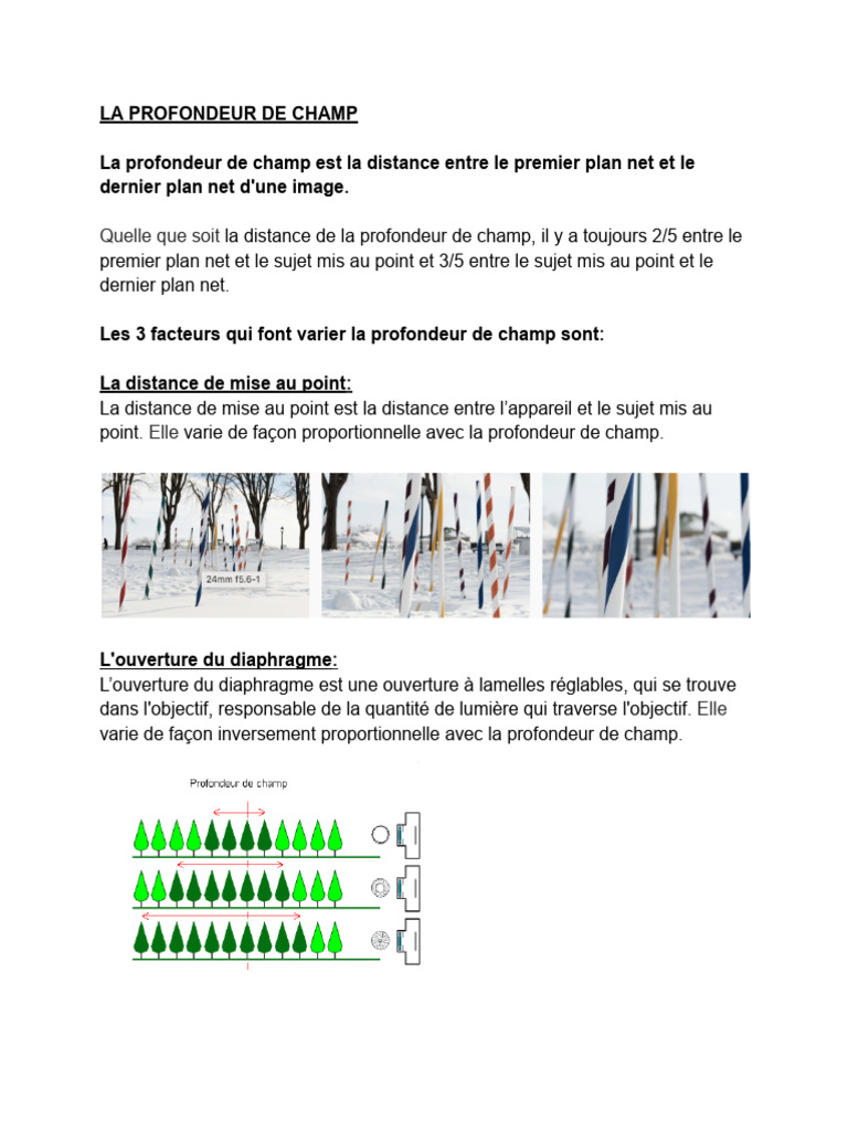 Comprendre la profondeur de champ photo | PDF