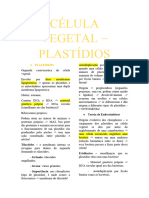 CÉLULA VEGETAL - PLASTIDEOS - ANATOMIA VEGETAL