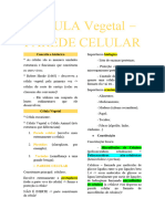 Célula Vegetal - Parede Celular - Anatomia Vegetal