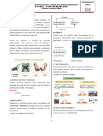 Práctica #04 Razonamiento Verbal - Con Claves