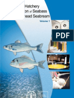 Manual On Hatchery Production - Seabass