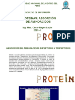 S10 - Proteínas I