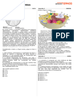 Componentes e Estrutura