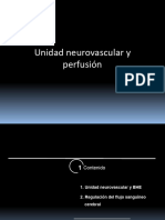 2 Fisiologianeurovascular 2330