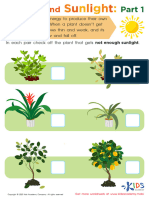 Grade 1 Plants and Sunlight Part 1 Worksheet